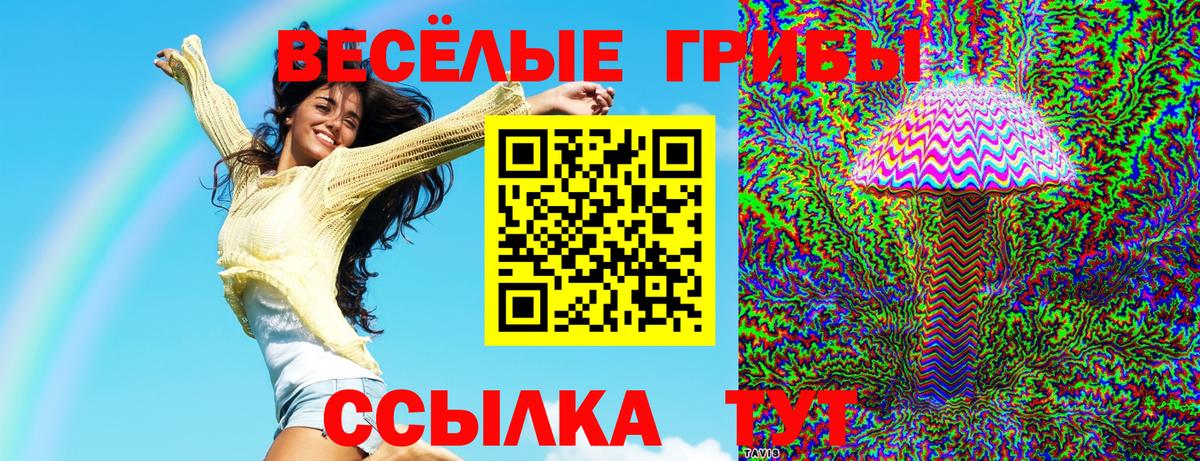 Псилоцибиновые грибы прущие грибы Будённовск