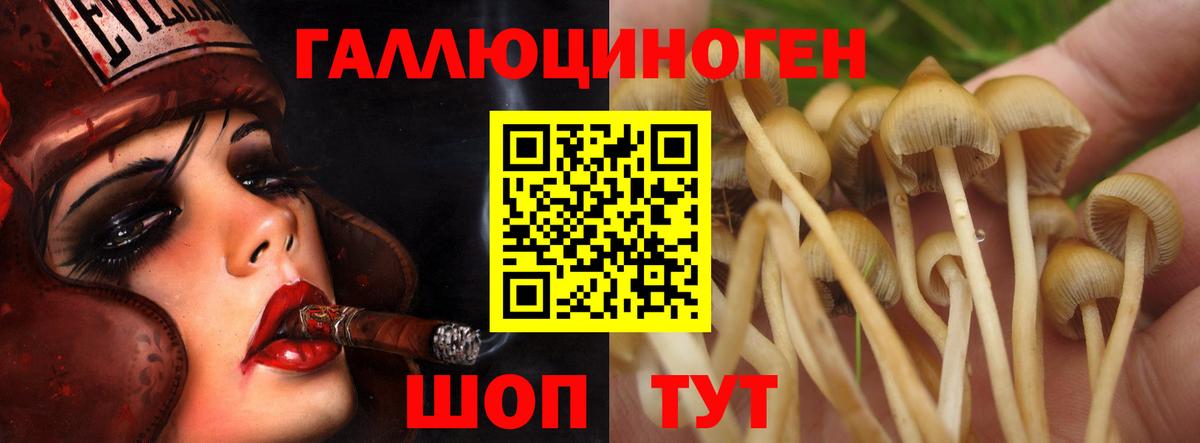 Псилоцибиновые грибы Magic Shrooms  Вход с VPN  Будённовск  Псилоцибиновые грибы мицелий 